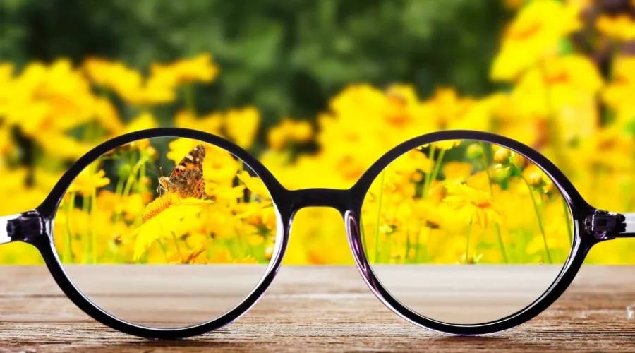 RDVimGarten_Das Sehen_150dpi (c) Africa Studio).jpg